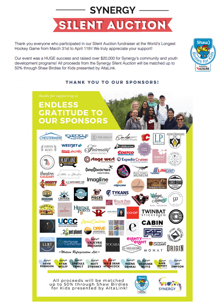 synergy silent auction (our part)
